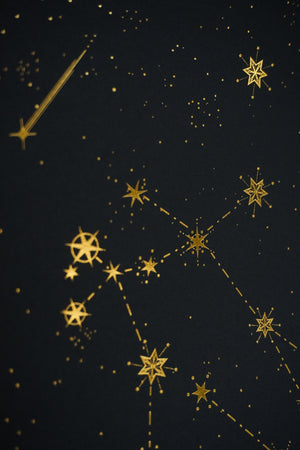 Gemini Constellation Art Print