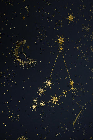 Capricorn Constellation Art Print