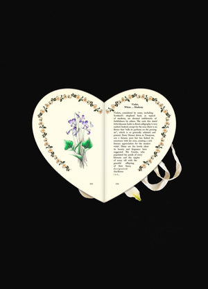 Language of Flowers - Heart Books Collection